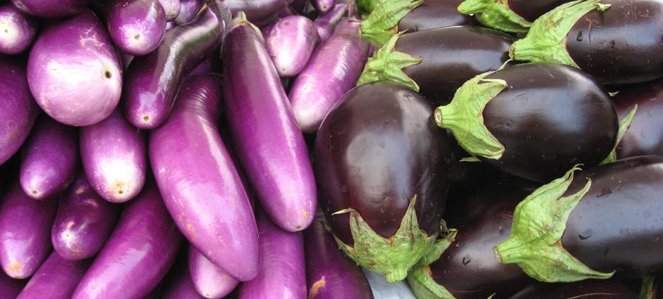 Eggplant | PCFMA